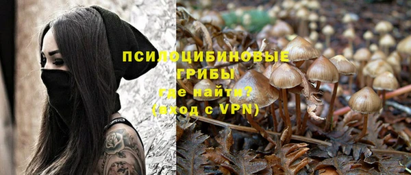 гидропоника Балахна