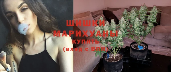 гидропоника Балахна