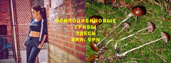 Альфа ПВП Белоозёрский